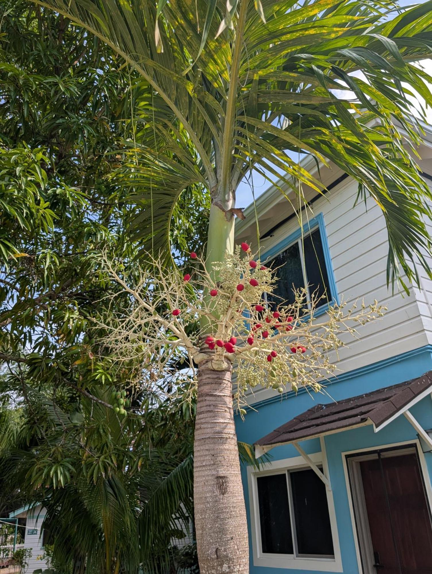 Yoga Dreams Negril Hotel Екстериор снимка