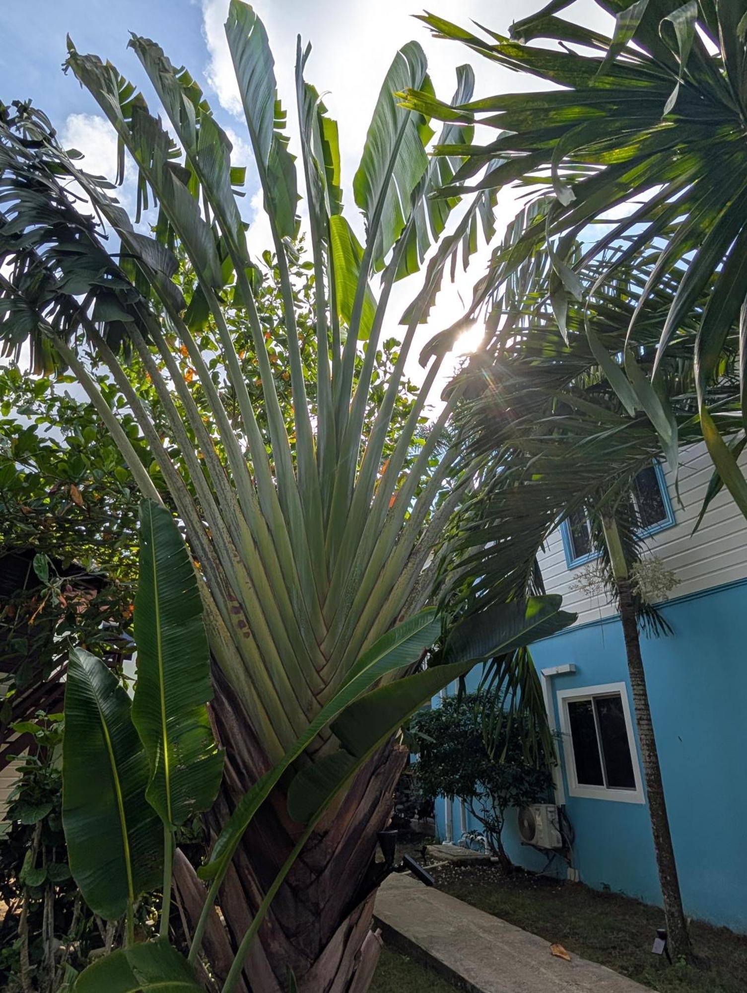 Yoga Dreams Negril Hotel Екстериор снимка