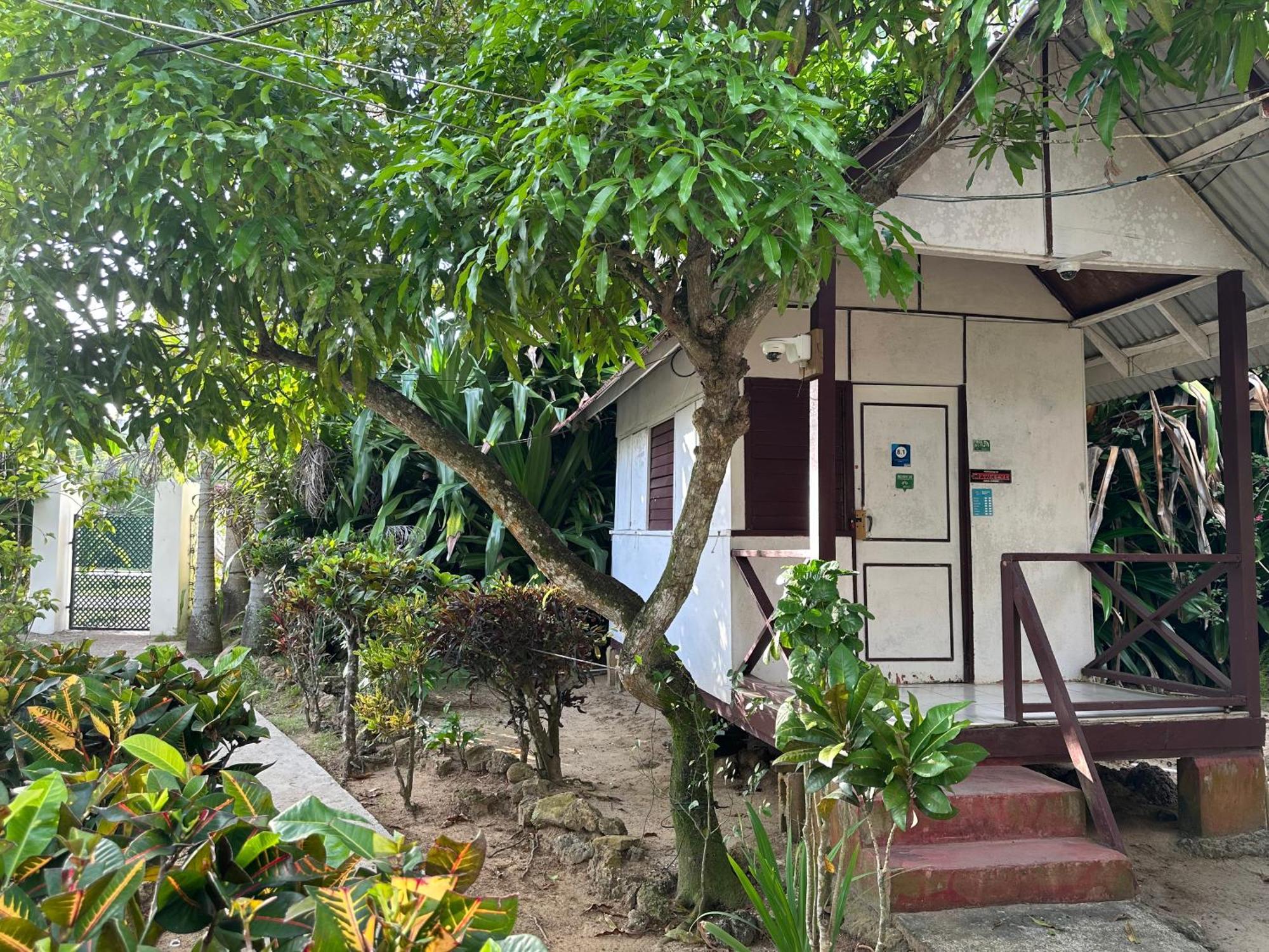 Yoga Dreams Negril Hotel Екстериор снимка