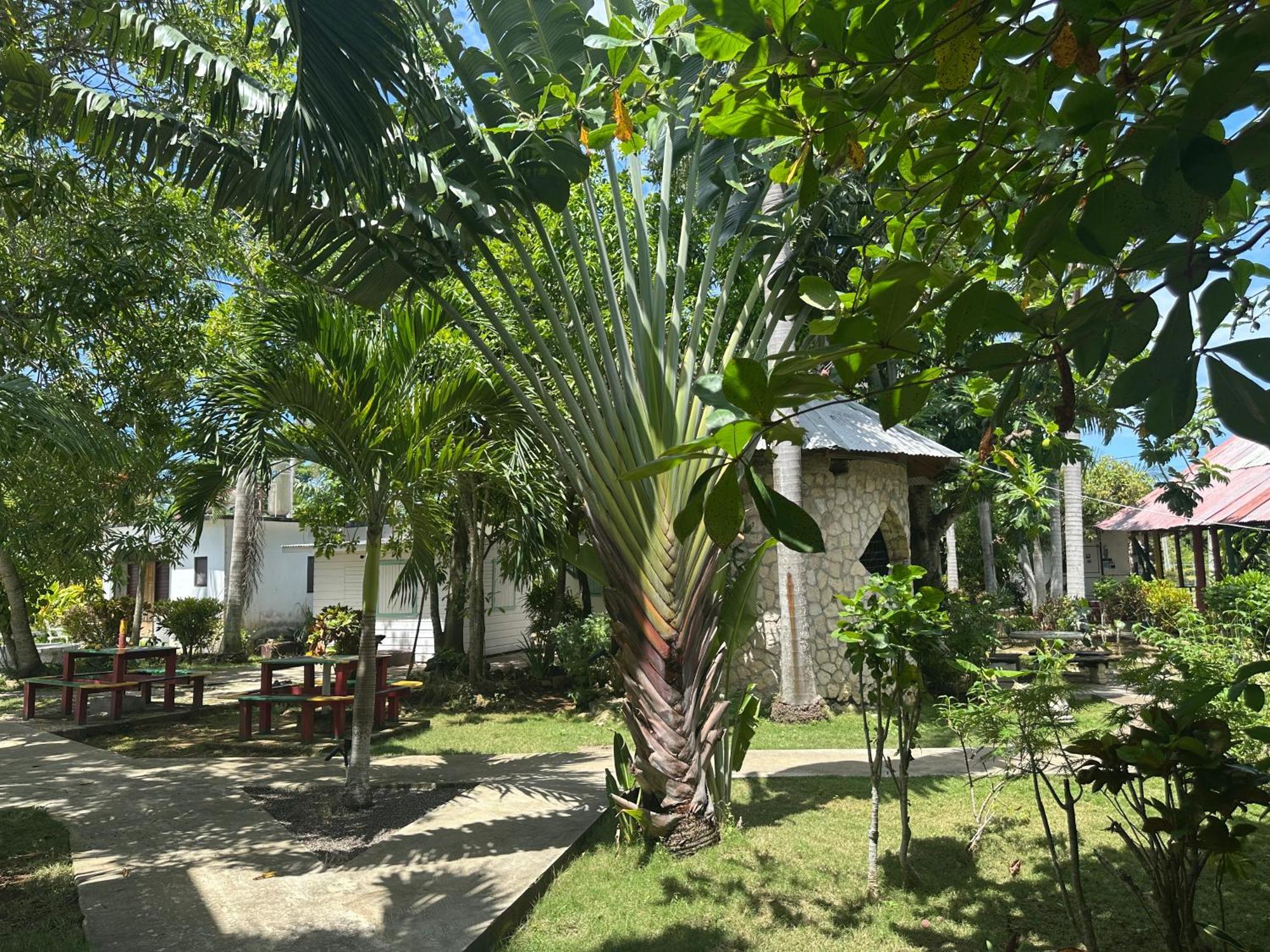Yoga Dreams Negril Hotel Екстериор снимка